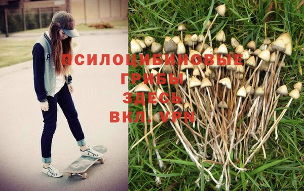 герыч Кулебаки