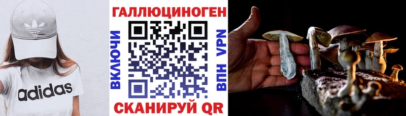 Купить где  Ликино-Дулёво  Псилоцибиновые грибы Psilocybe 